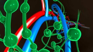 Swollen Lymph Nodes: Causes and Treatment