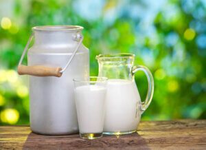 Leche de vaca: mitos y verdades
