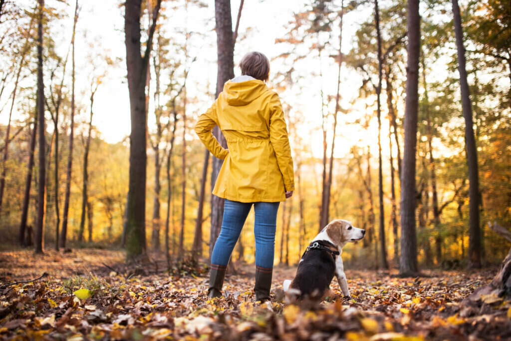 Une femme qui se promène en forêt avec son chien. 