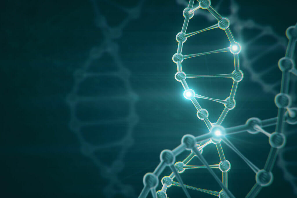Genética en la dermatitis herpetiforme.