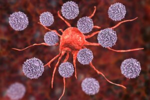 Natural Killer Cells: Characteristics and Functions