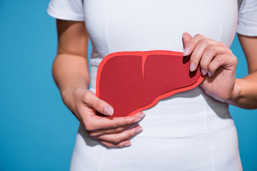 Les 6 maladies du foie les plus courantes - Muy Salud