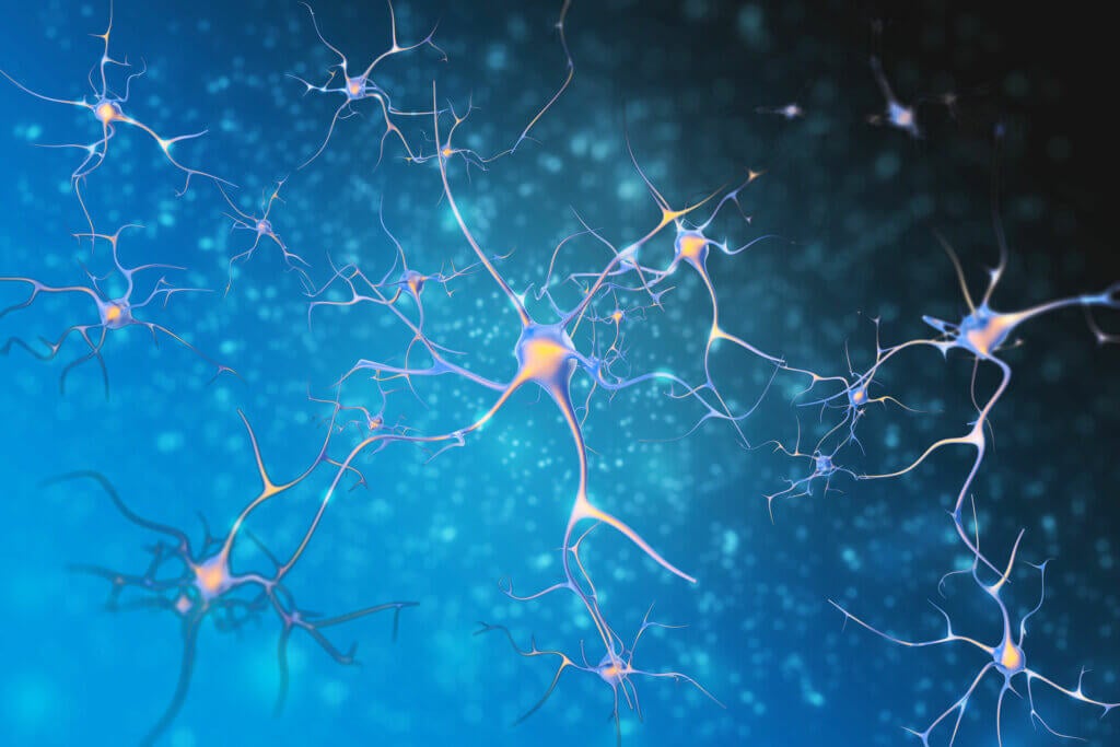 What Is Neuroplasticity?