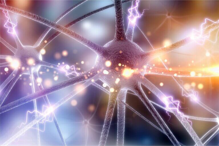 ¿Qué es el factor neurotrófico derivado del cerebro?