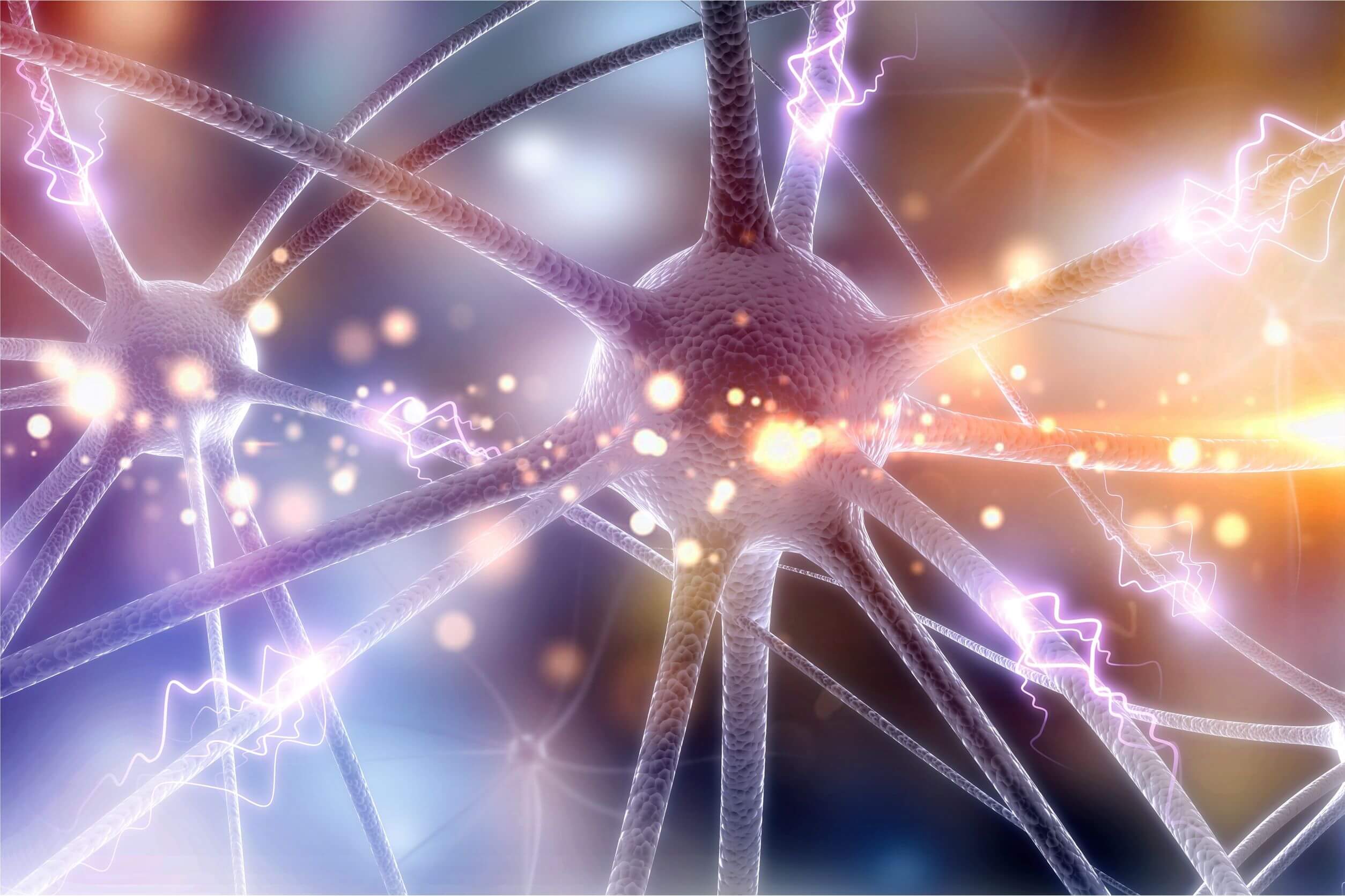 Origen cerebral de la parosmia.