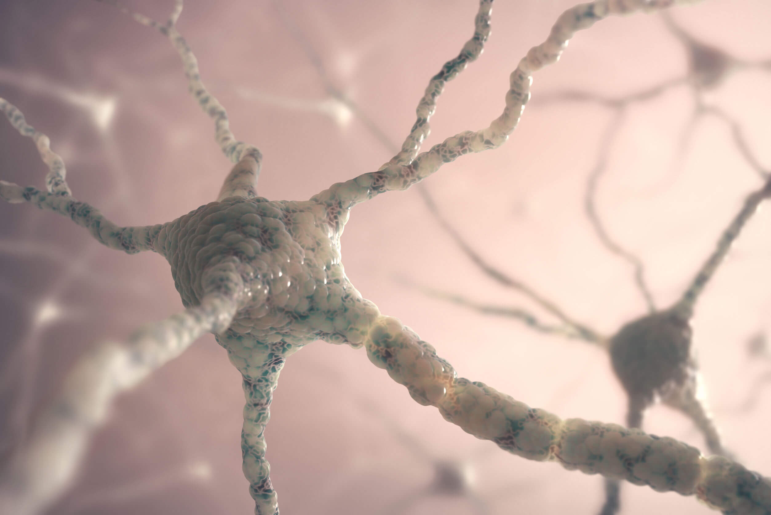 La doxépine influence les neurones.