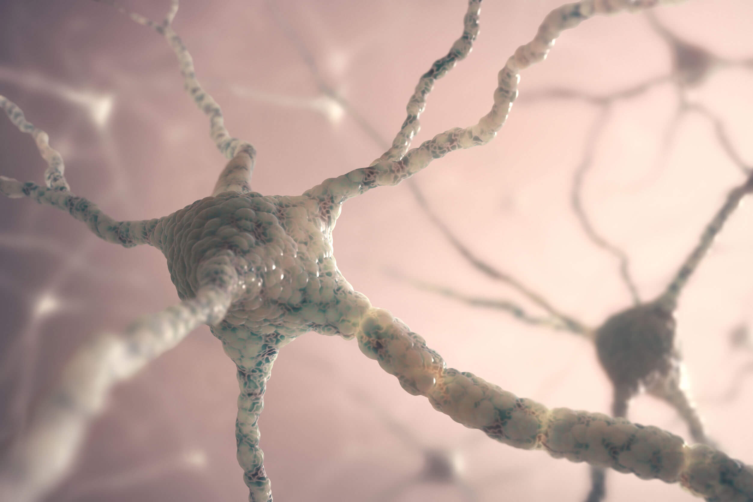 La doxepina influye sobre las neuronas.
