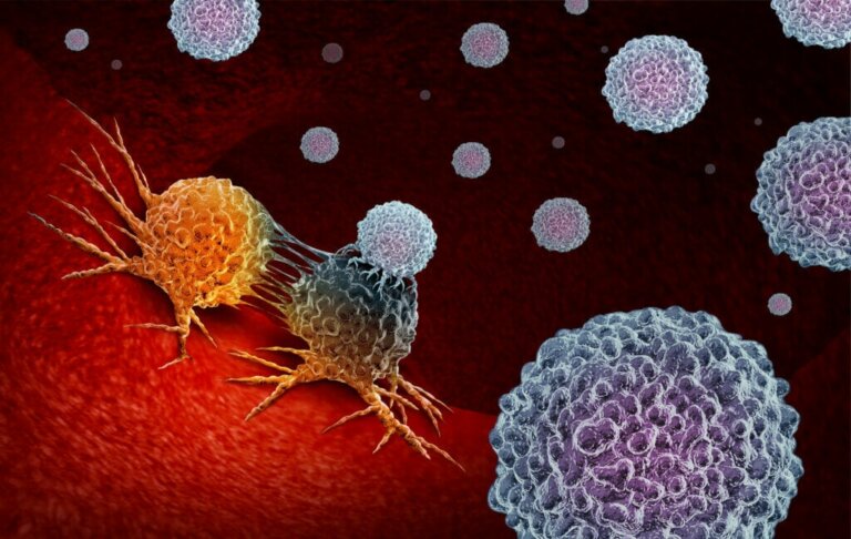 Dieta e sistema immunitario: cosa c'è da sapere