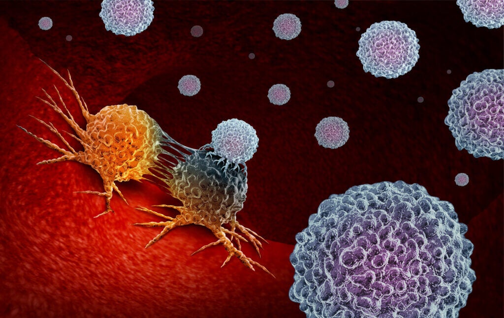 Dieta e sistema imunológico: o que você precisa saber