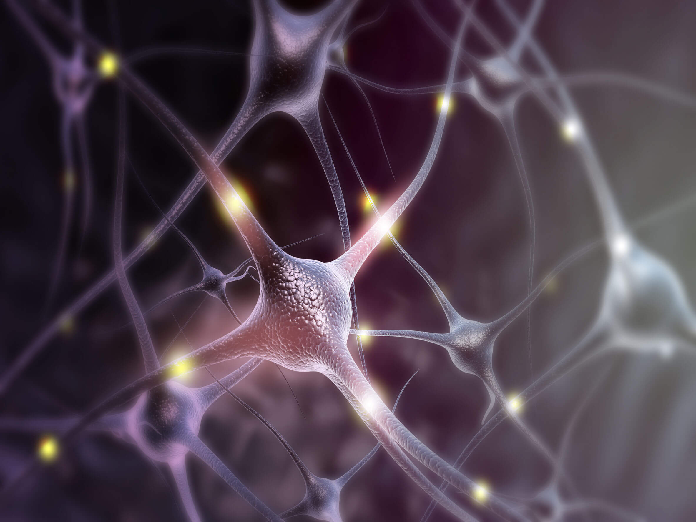 O fator neurotrófico pode influenciar a atividade dos neurônios.
