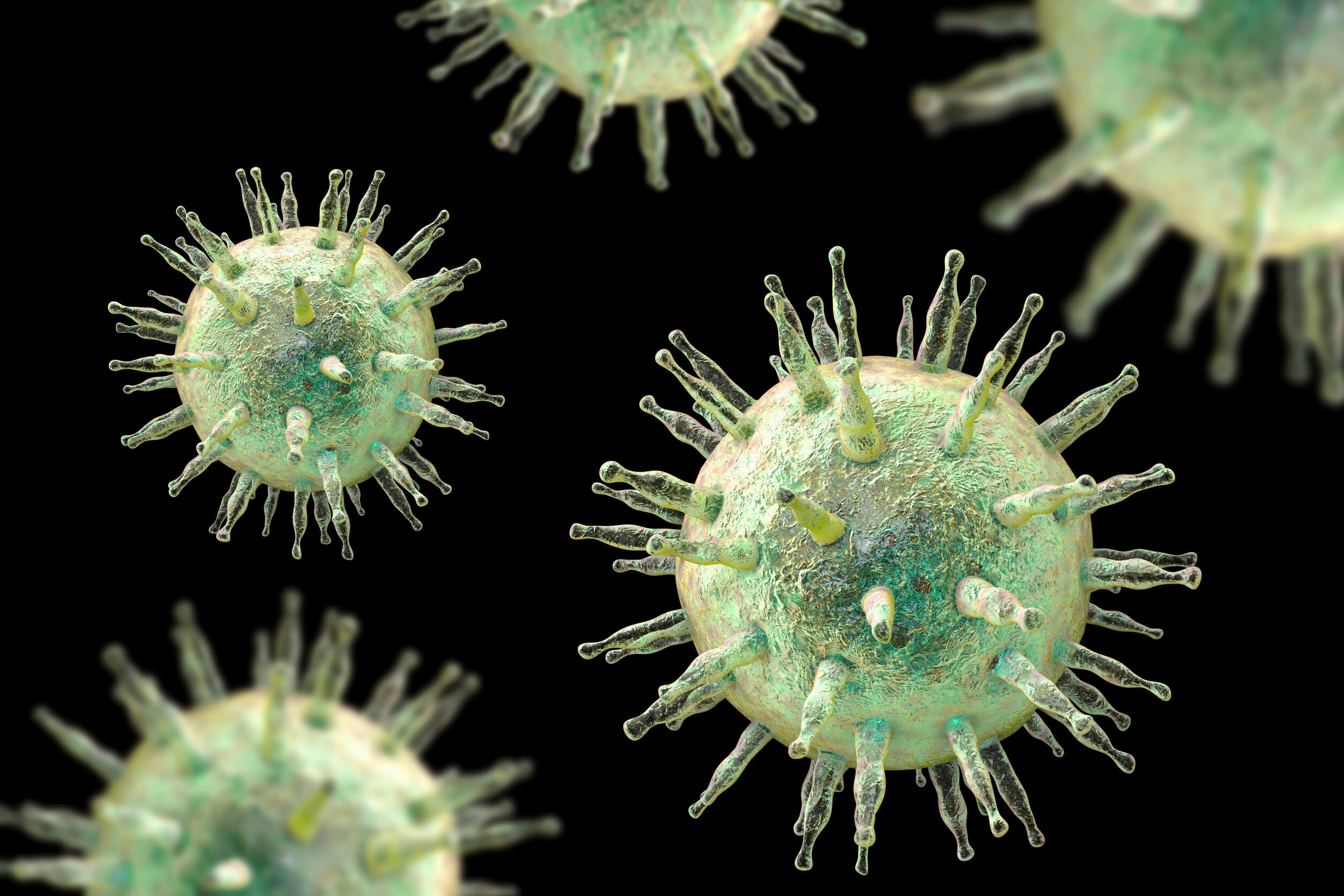 Las vacunas incluyen virus vivos atenuados.