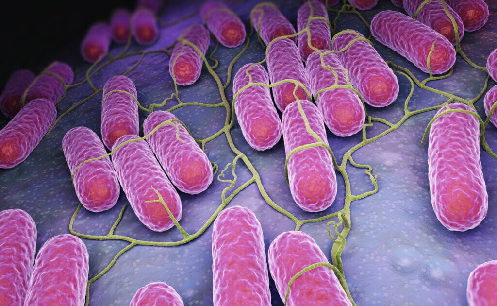 Microbiota: What Are They and What Are Their Purpose?
