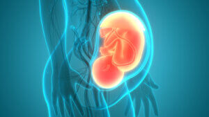 Trastornos del espectro alcohólico fetal: ¿en qué consisten?