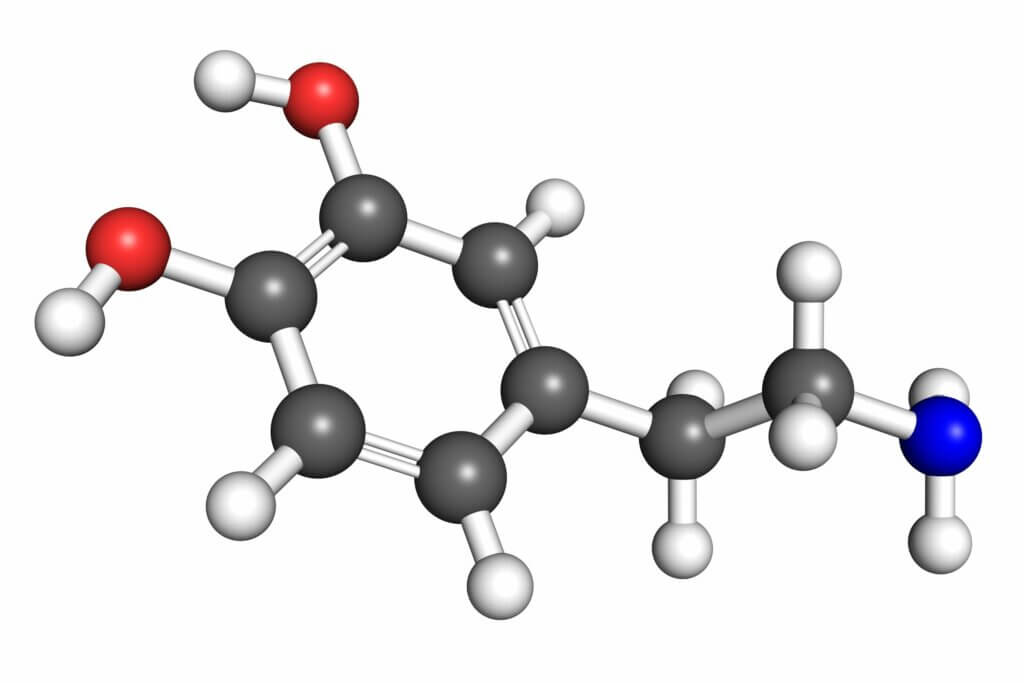 Dopamine: Systèmes Dopaminergiques, Synthèse Et Récepteurs