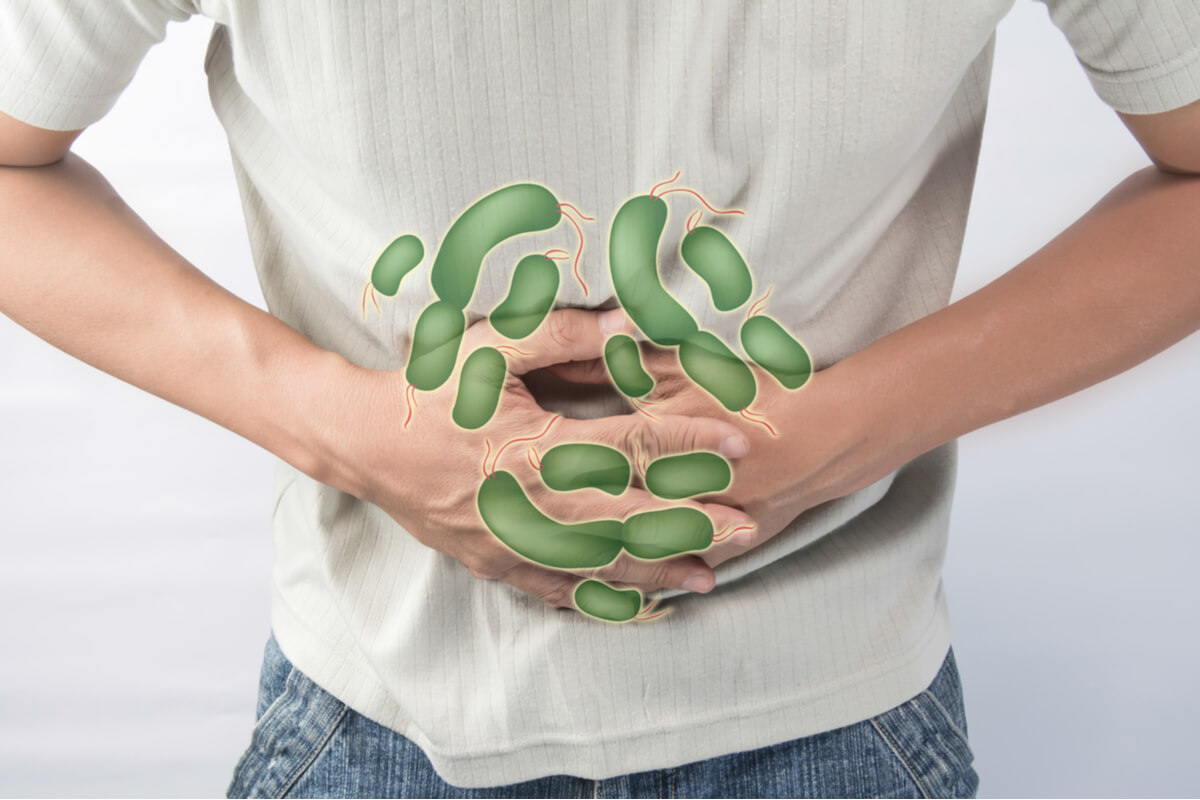 La dieta frigana y su efecto sobre la salud