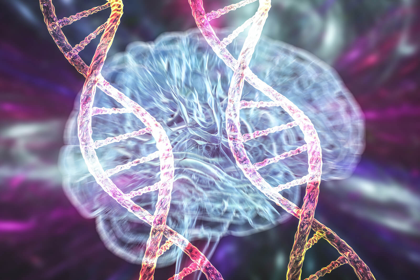 The causes and risk factors of Parkinson's disease include genetics