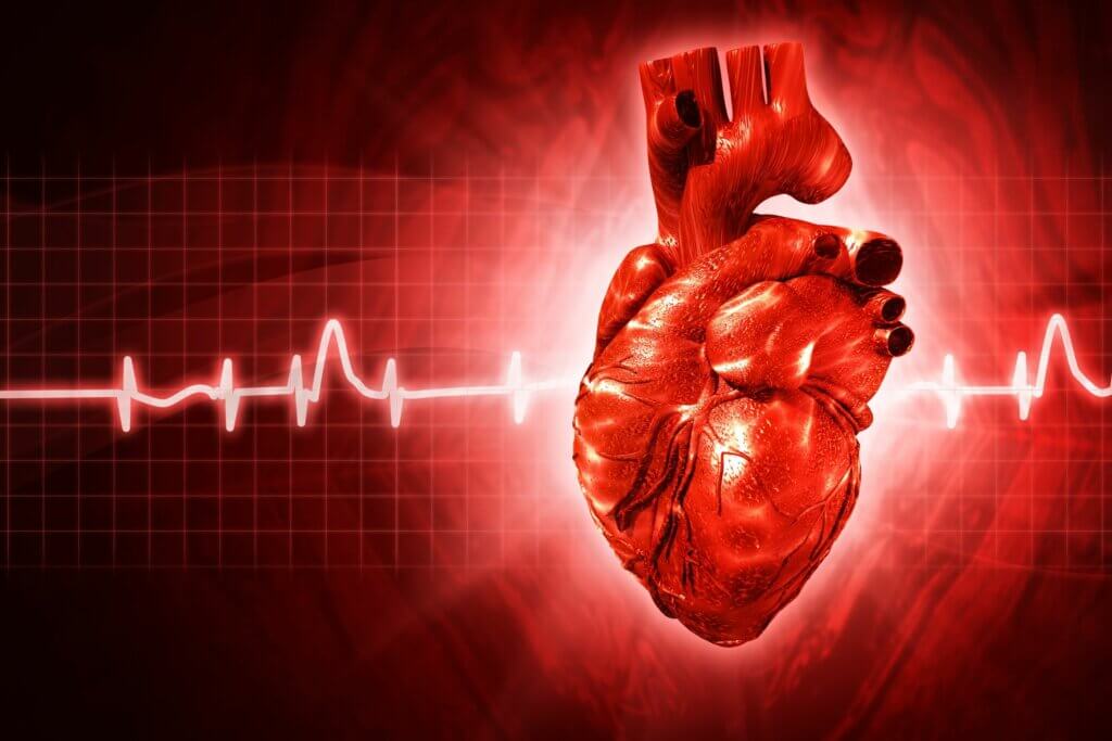 Sístoles del corazón.