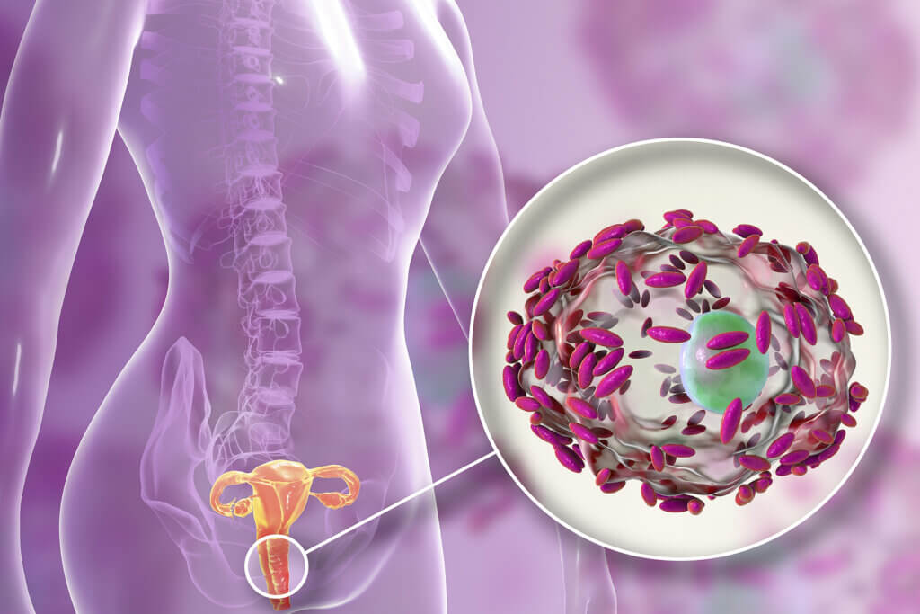 Flora vaginal: qué es, funciones y cómo cuidarla