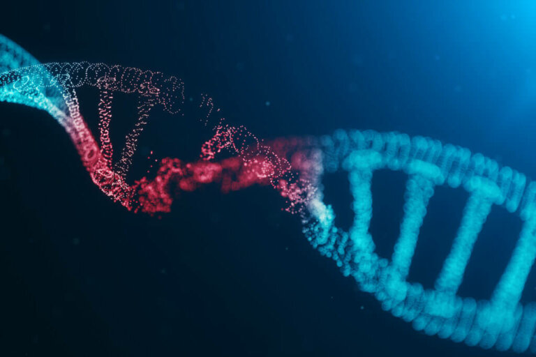 The 3 Differences Between Genetic and Hereditary Diseases