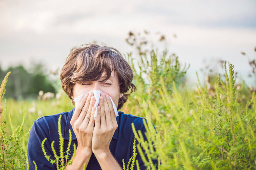 Rinitis por alergia al polen.