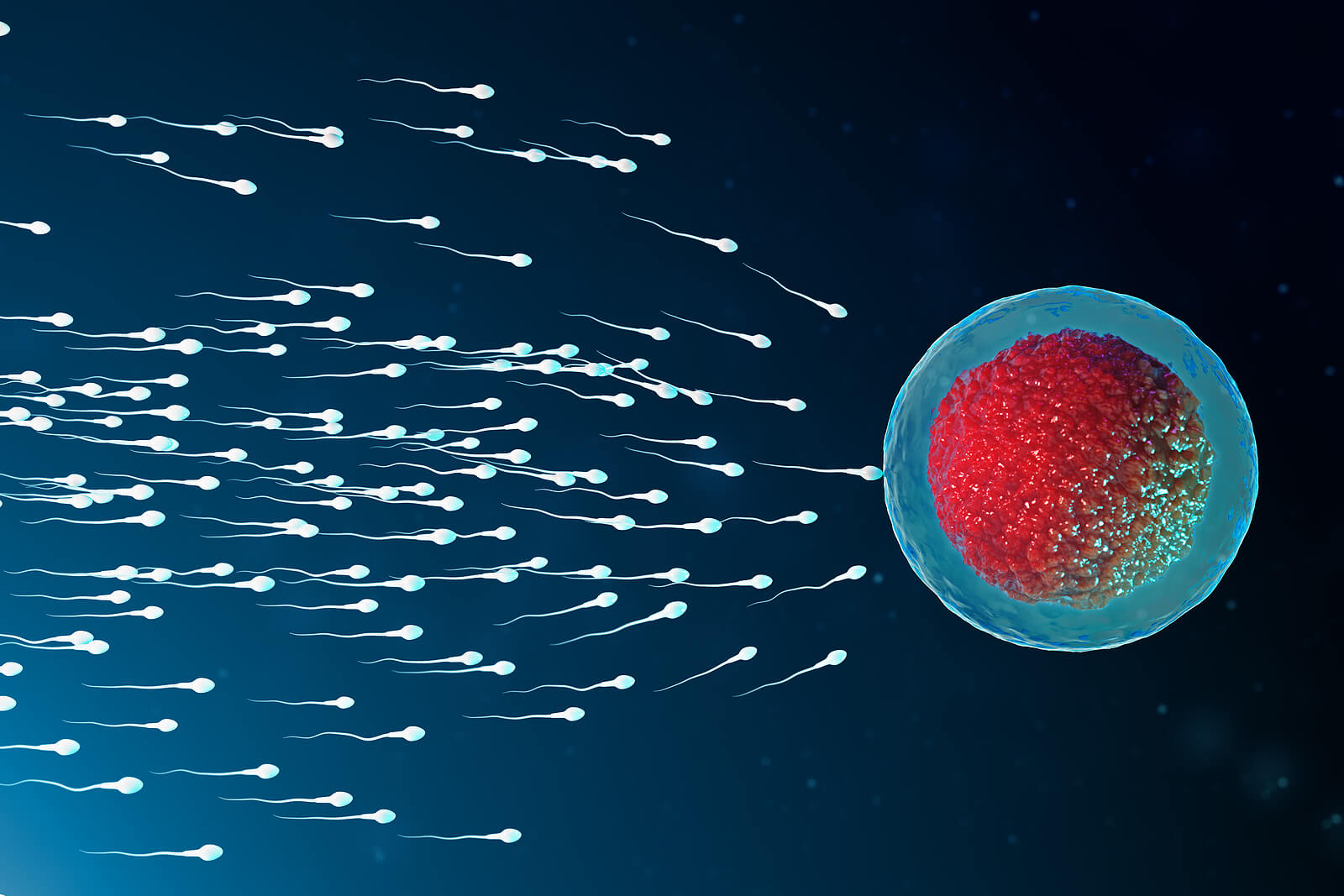 Fertilidad, migraña y embarazo