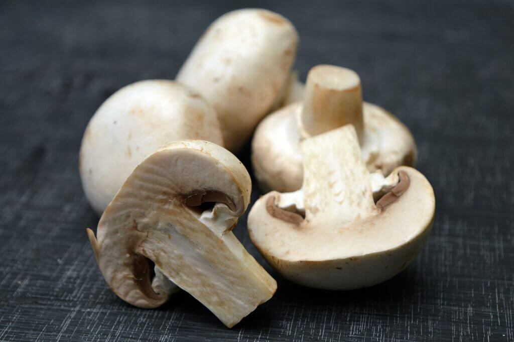 Cogumelos são alimentos que produzem gases.