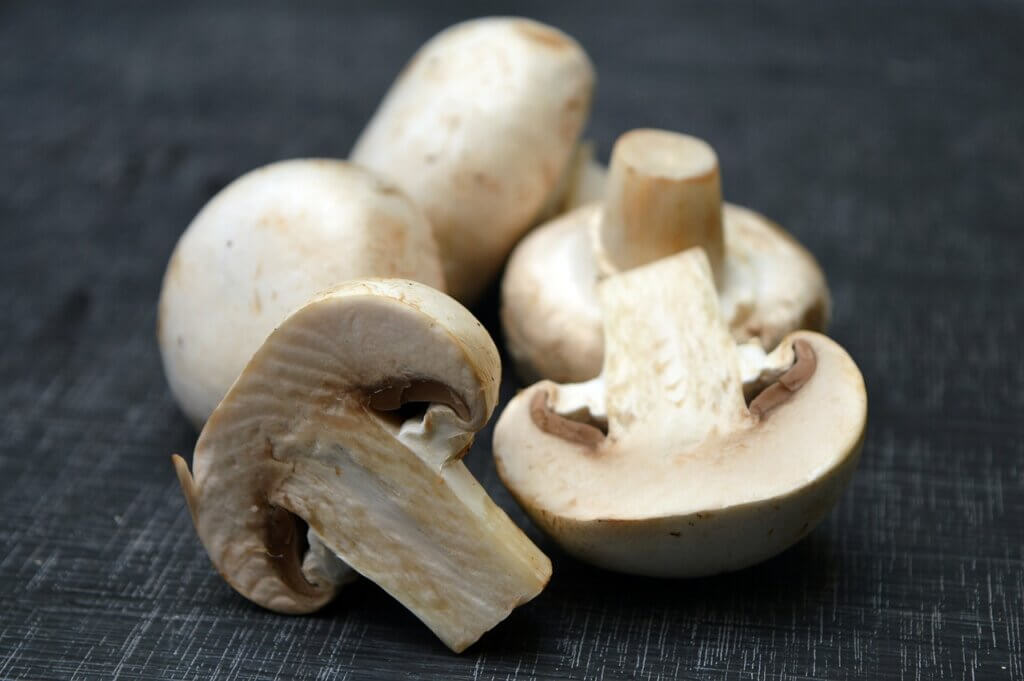 Hongos son alimentos que producen gases.