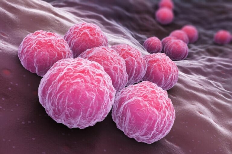Risk Factors and Causes of Chlamydia