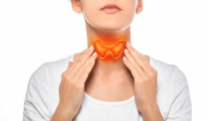 Come funziona la ghiandola tiroidea?