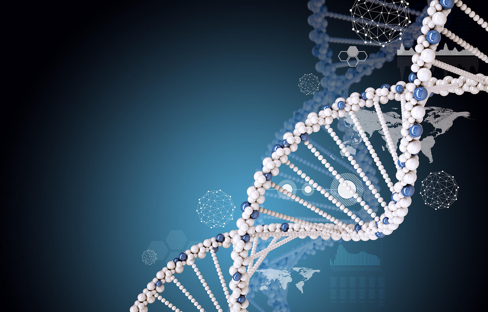 El colágeno y el ADN