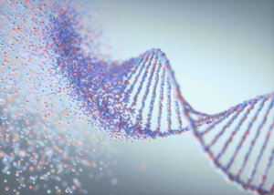 Causas e fatores de risco da diabetes tipo 2