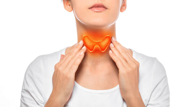 ¿Cómo funciona la glándula tiroides?