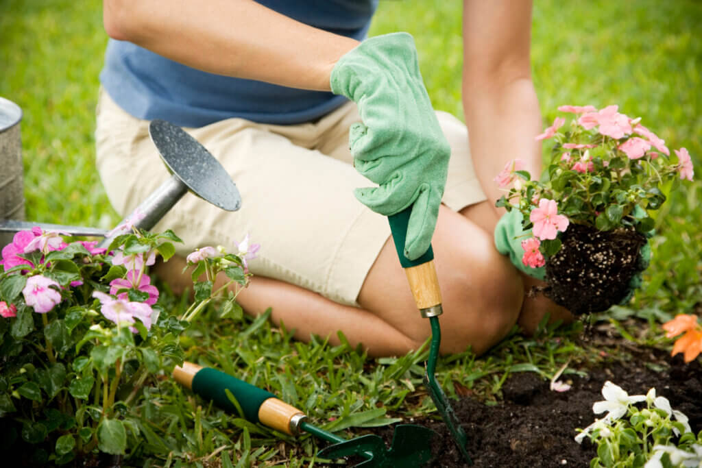 Hacer jardinería para vivir con esclerosis múltiple.