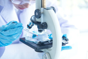 Diagnóstico da anemia