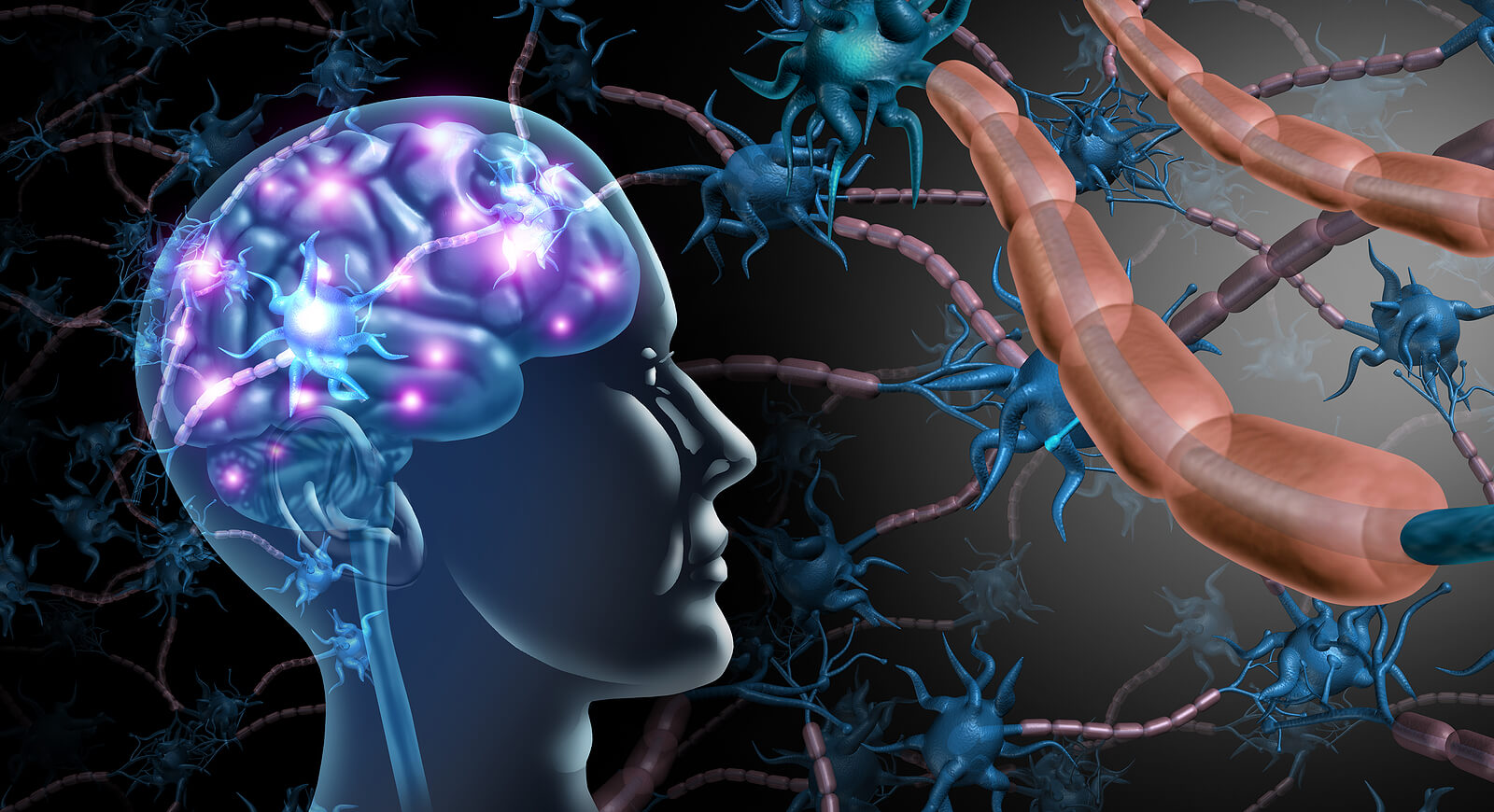 Differences between multiple sclerosis and ALS include the evolution of symptoms.