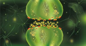 ¿Qué es la colina?