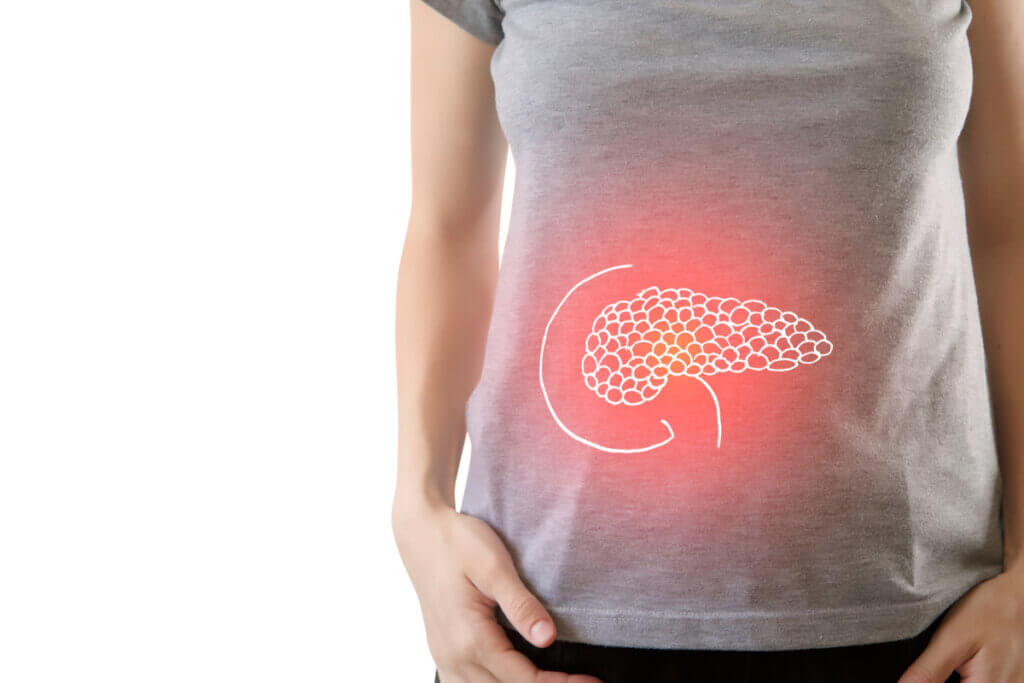 Páncreas en el cuerpo.