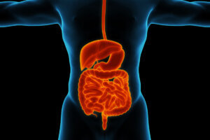 ¿Qué es el esfínter de Oddi?