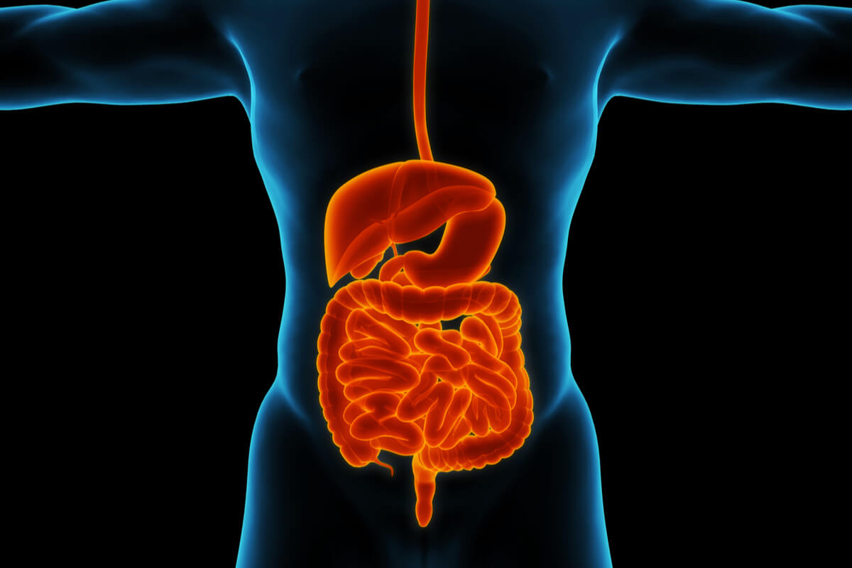 La sensibilidad al gluten aparece en los adultos