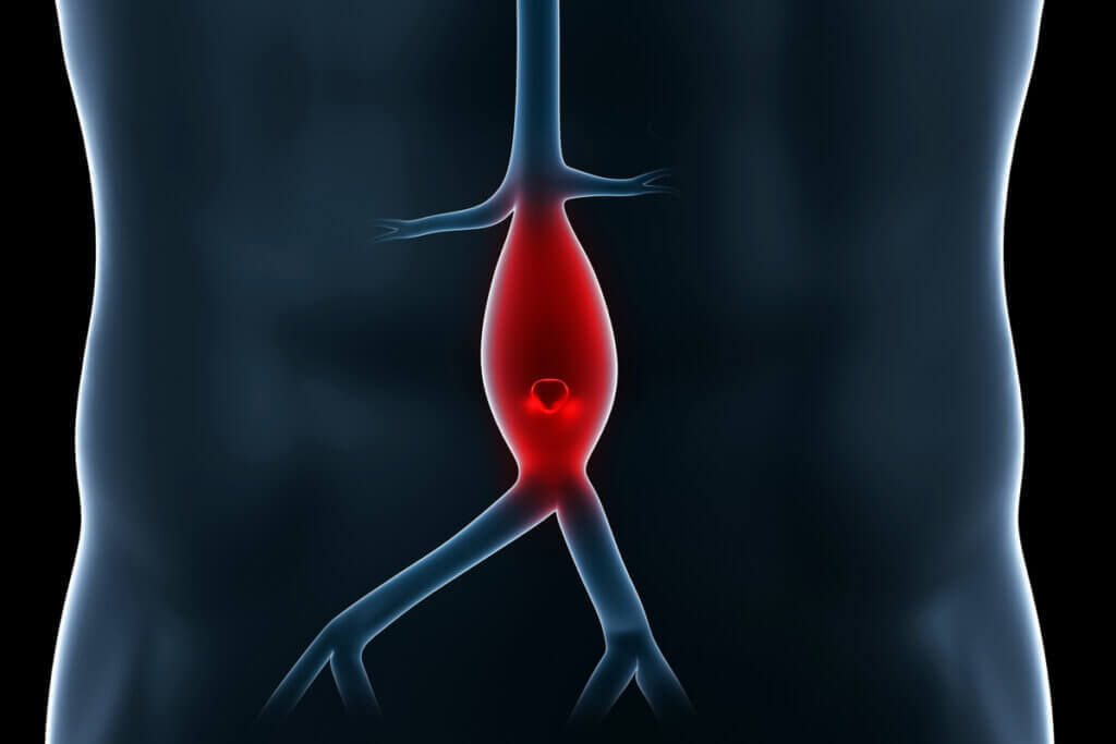Apesar das disparidades, os dois tipos de vasos sanguíneos são essenciais para o entender o funcionamento do sistema circulatório