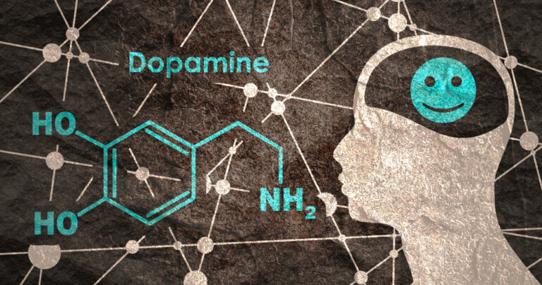 Dopamine: systèmes dopaminergiques, synthèse et récepteurs