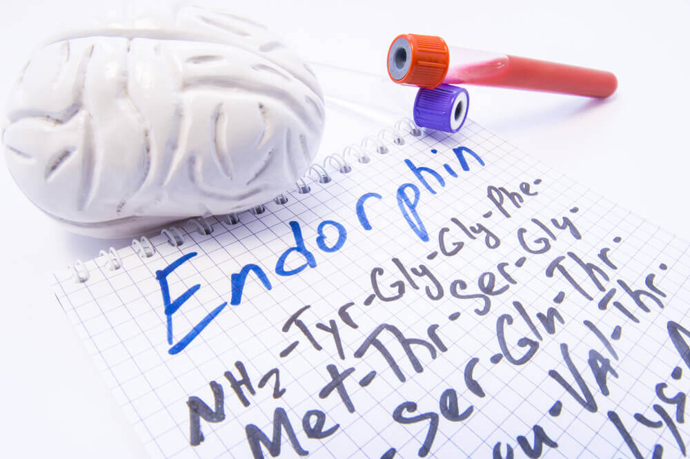 Endorfinas