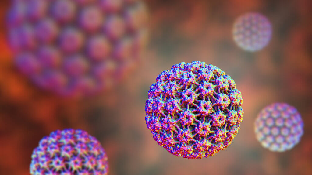 Virus del papiloma humano.