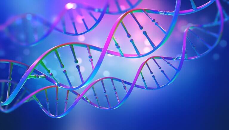 ADN: découverte, structure et mutations