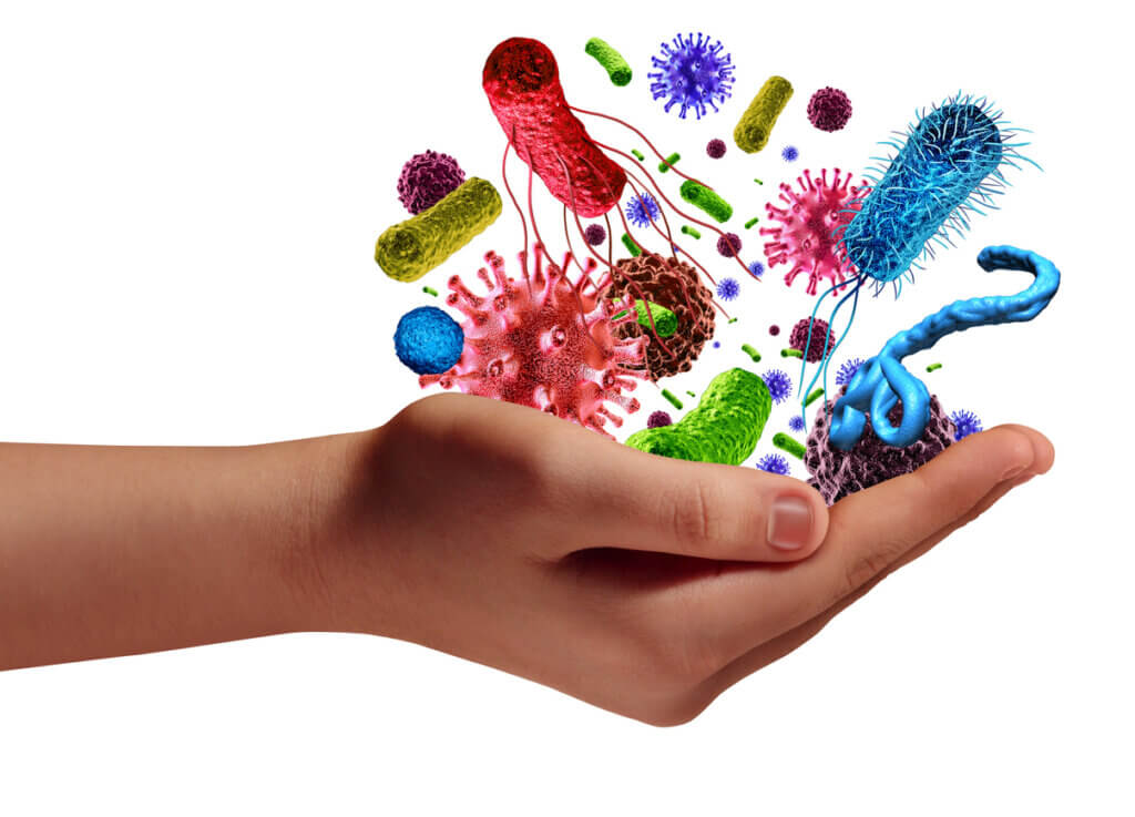 Los 3 tipos de microbiota y sus características