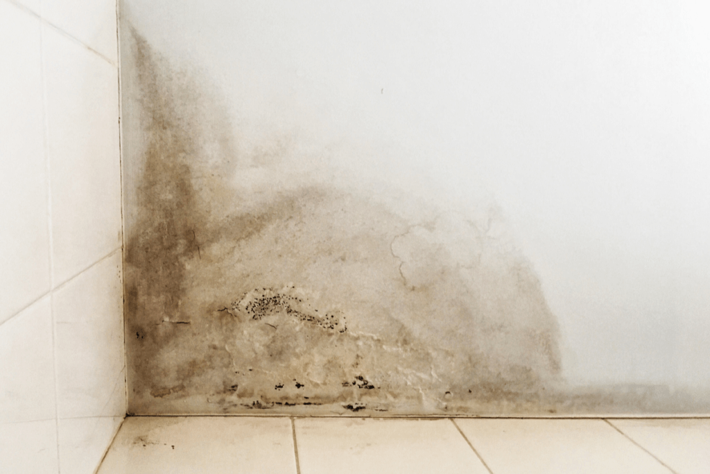 O mofo na parede causa uma alergia à umidade.