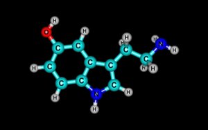 Sérotonine et dépression: comment sont-elles liées?