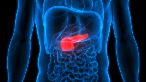 The Symptoms, Causes, and Treatment of Pancreatitis