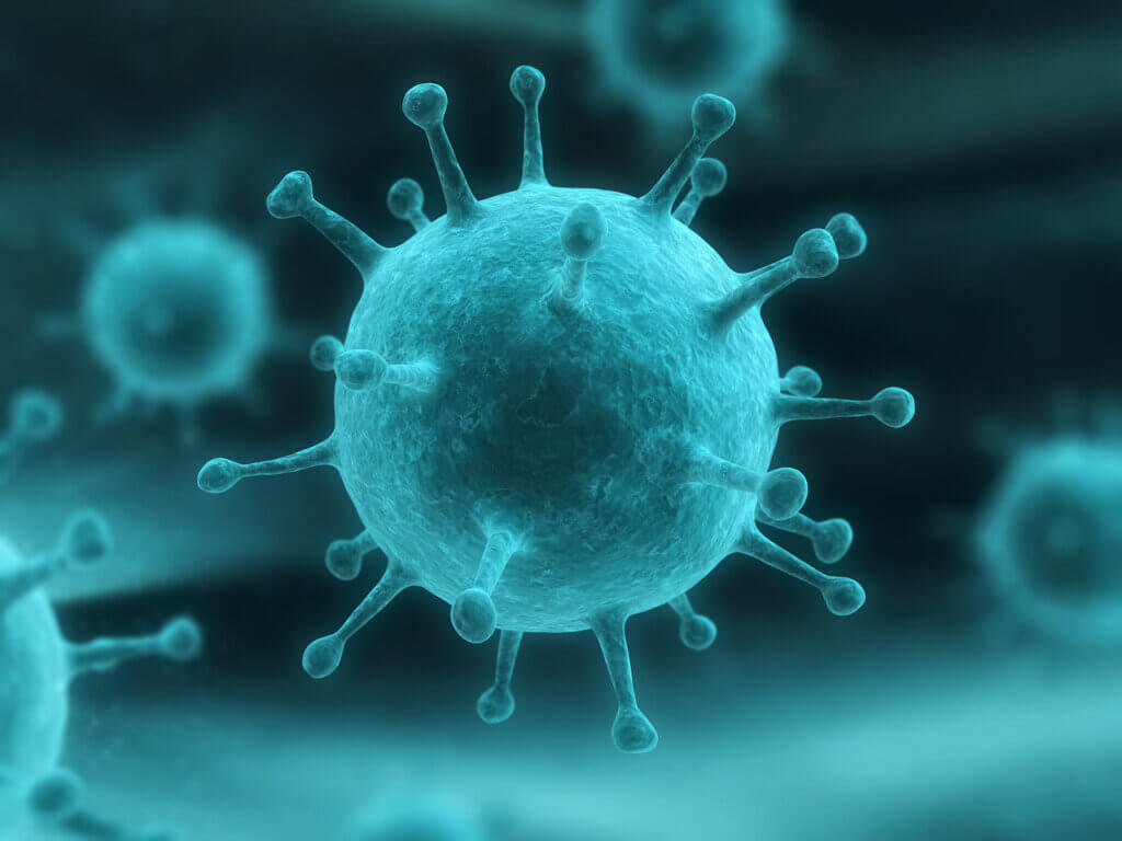 Un virus che causa un tipo di meningite.