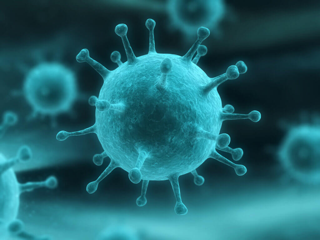 Virus que causa un tipo de meningitis.